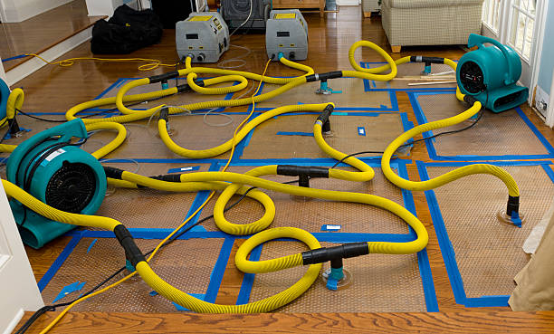 Professional Basement Flood Cleanup technician working in Cottage Grove, WI